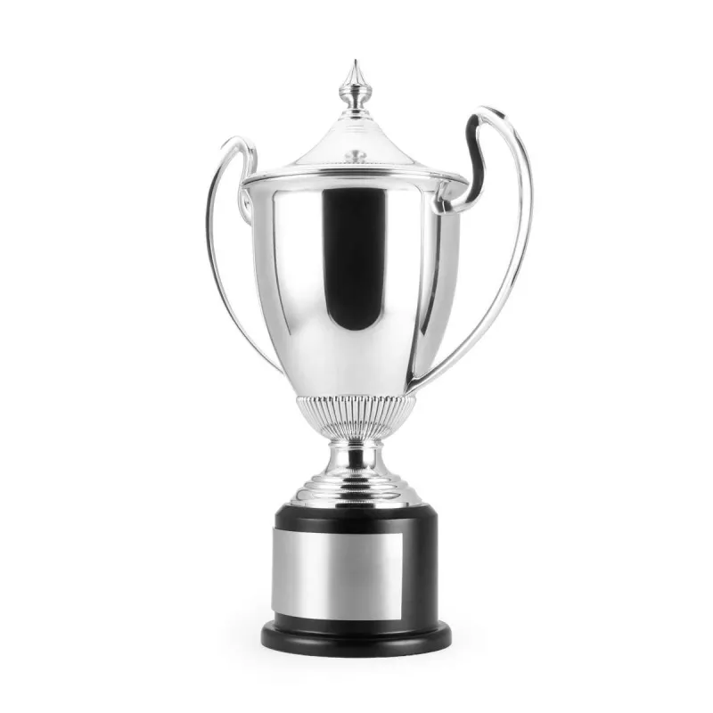 Championens Trofeee Svgr, bilde 2