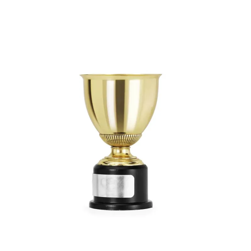 Championens Trofeee Sm Gull, bilde 2