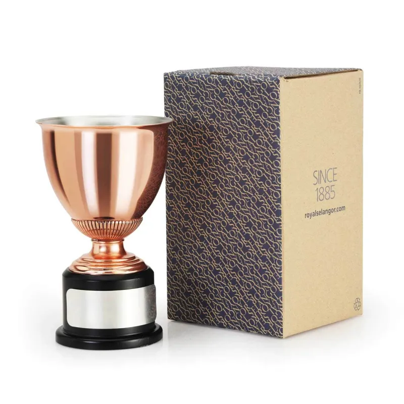 Championens Trofeee Sm Bronse, bilde 4