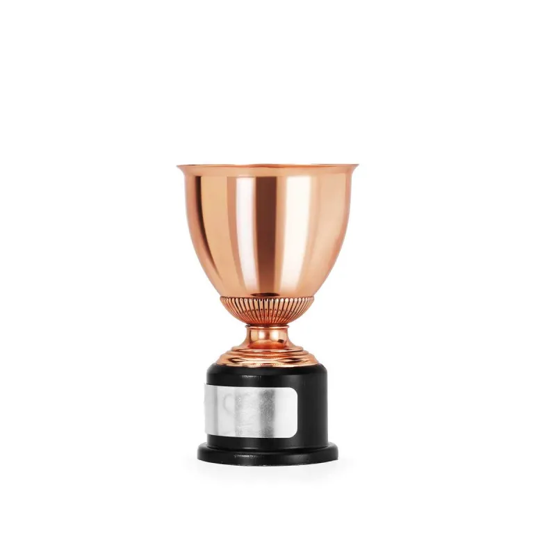 Championens Trofeee Sm Bronse, bilde 2