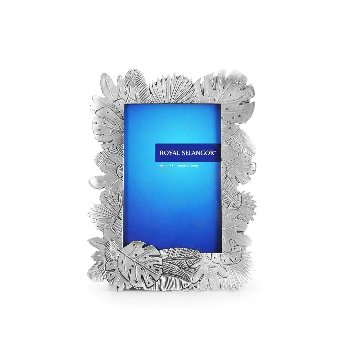 Earth Photo Frame 4R