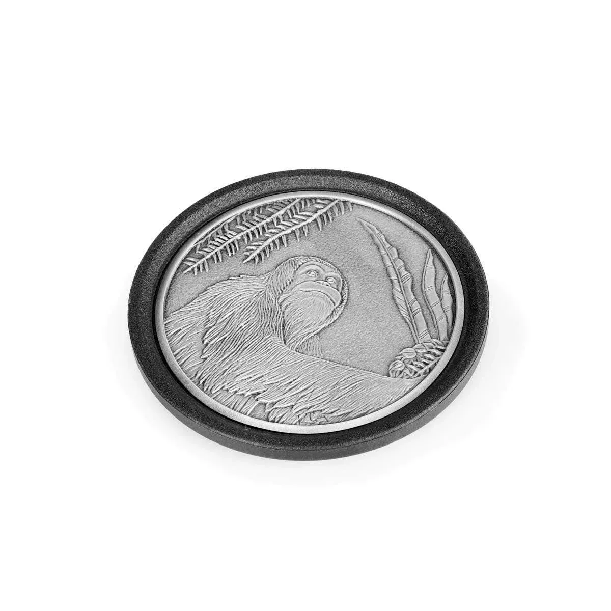 Coaster Orangutan Tierra, bilde 3