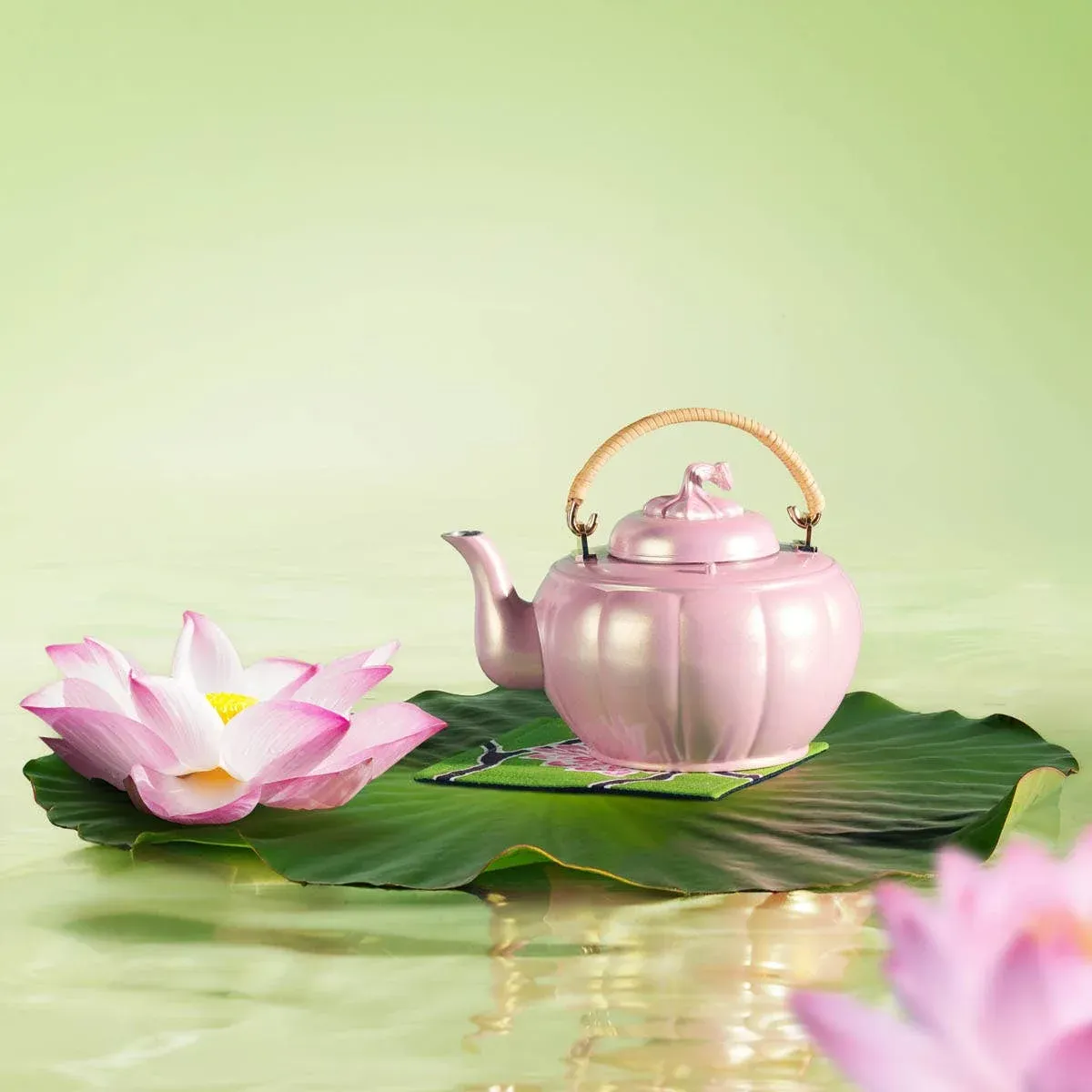 Lotus melonteknop, bilde 8