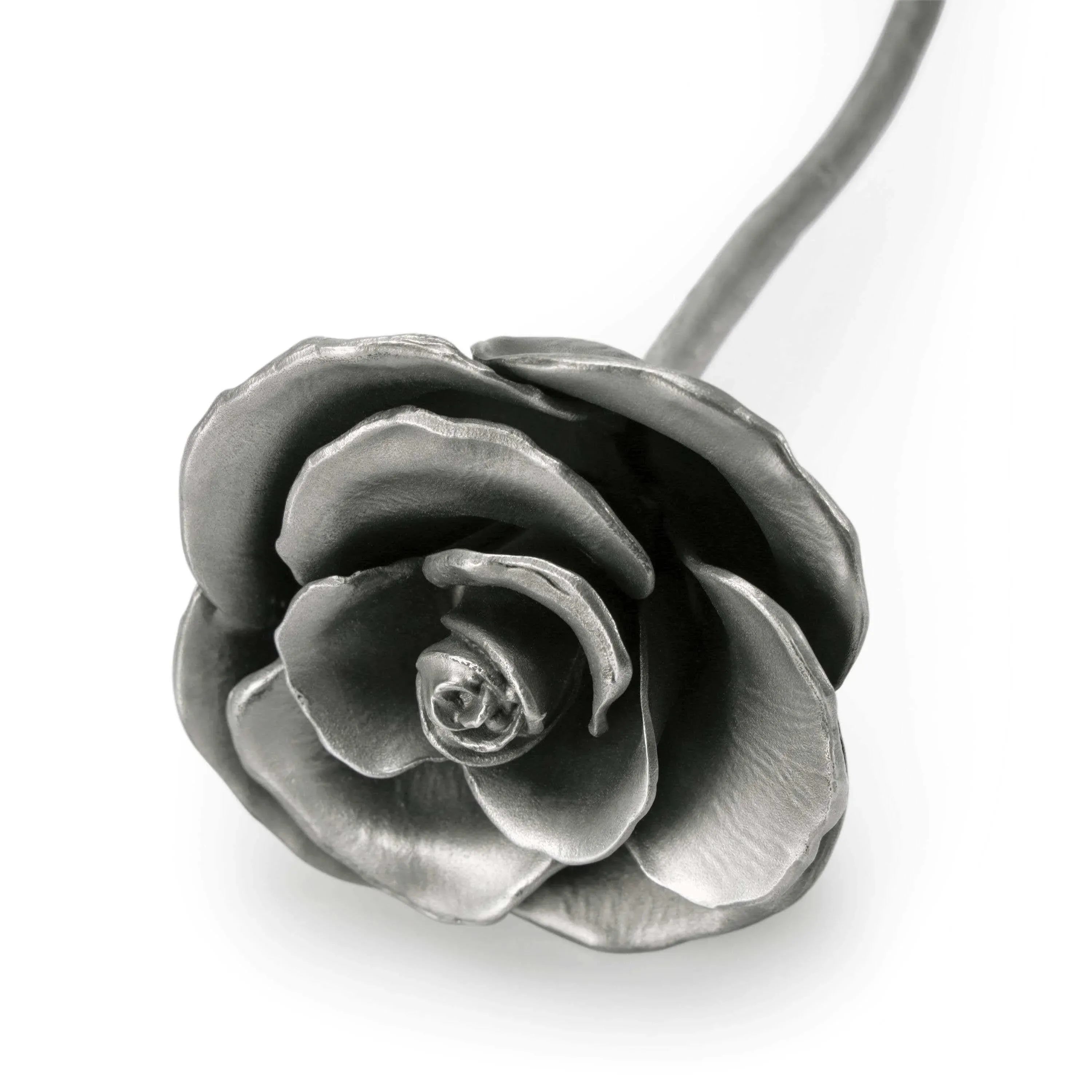 Rosa Blossom, bilde 5