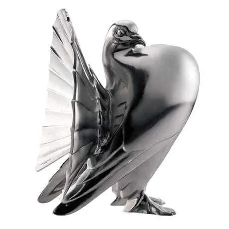 Fan-tald pigeong, bilde 4