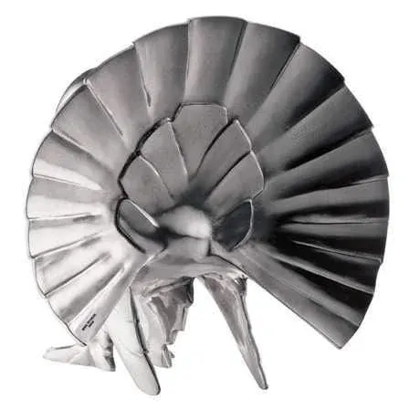Fan-tald pigeong, bilde 2