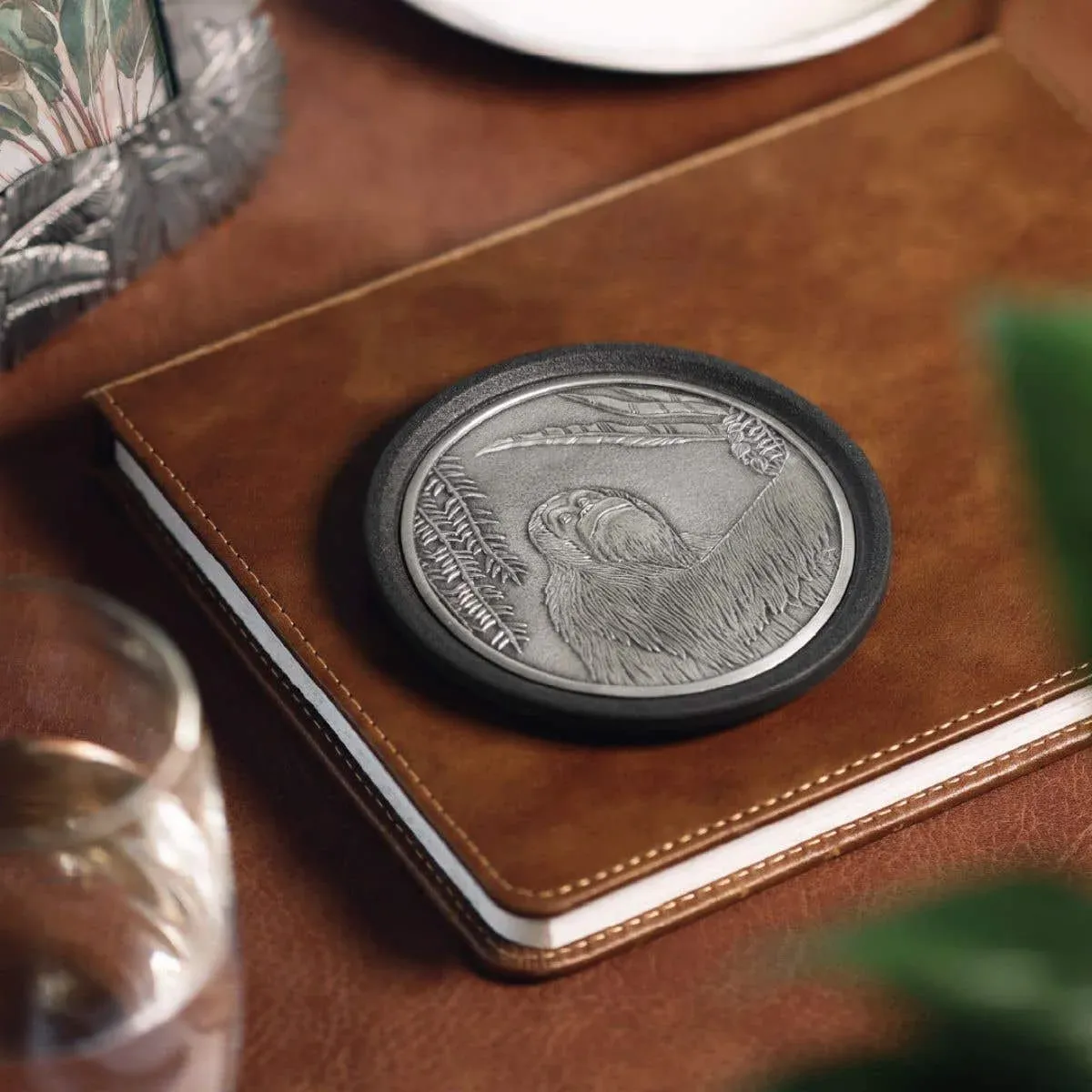 Coaster Orangutan Tierra, bilde 5